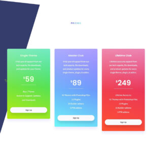 software application Pricing