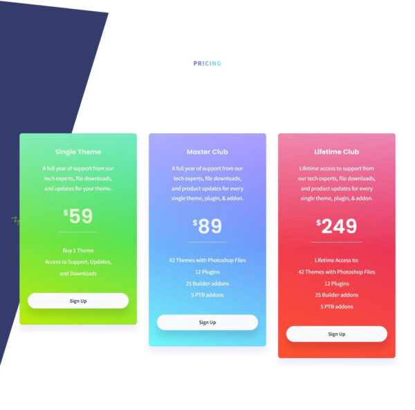 software application Pricing