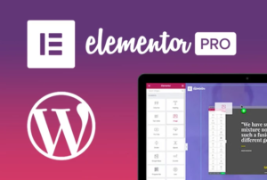 Elementor pro Advance Plan
