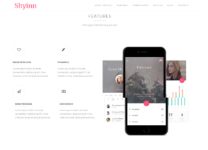 Shyinn-–-My-WordPress-Blog (2)