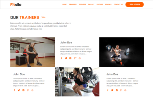 unbouncepages-com-fitsilo-storefront-envato-elements (1)