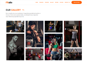 unbouncepages-com-fitsilo-storefront-envato-elements (3)