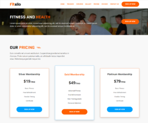 unbouncepages-com-fitsilo-storefront-envato-elements (4)